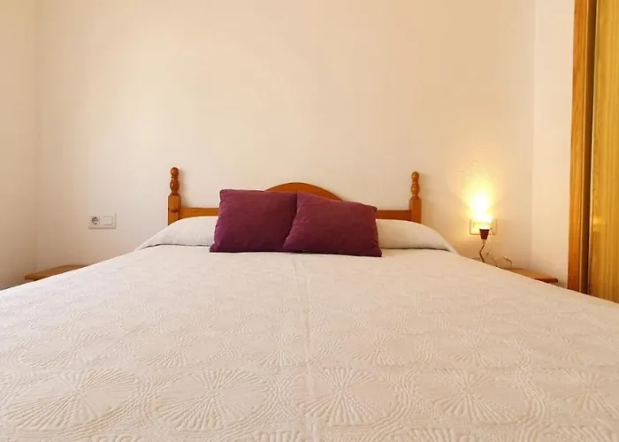 Daly Vac028 Denirent